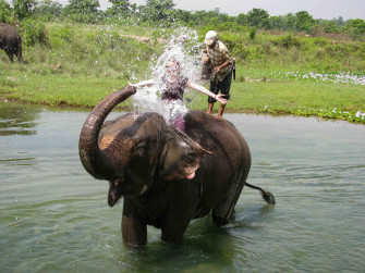 Chitwan National Park tour