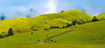 Khaptad National Park Tour