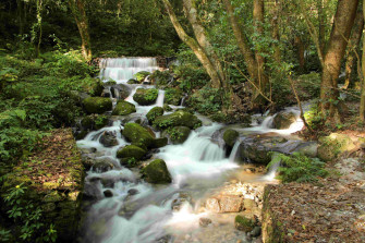 Shivapuri National Park Hiking